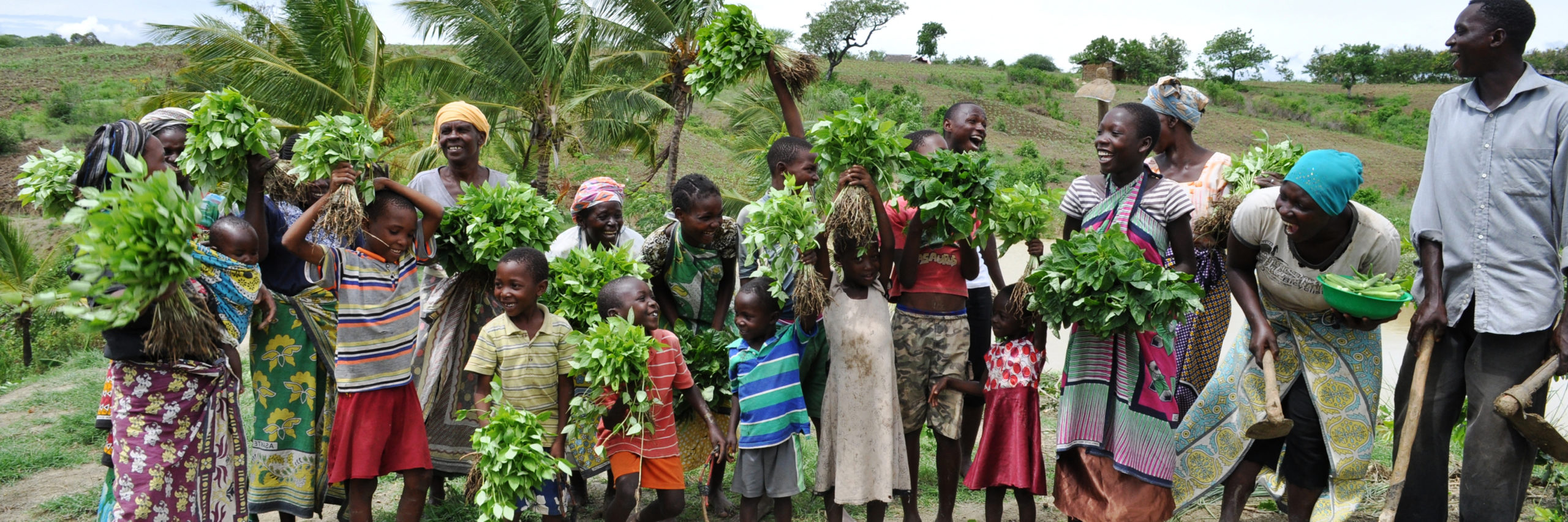 Smallholder Farmers in Zimbabwe