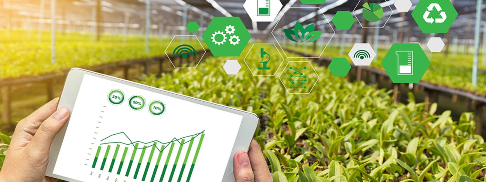 Digitalization of Agriculture of Zimbabwe