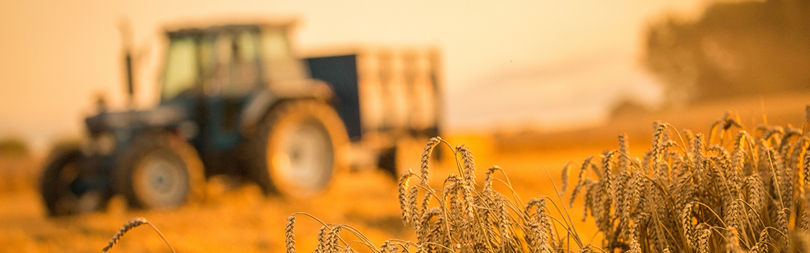 Agricultural Machinery in Zimbabwe