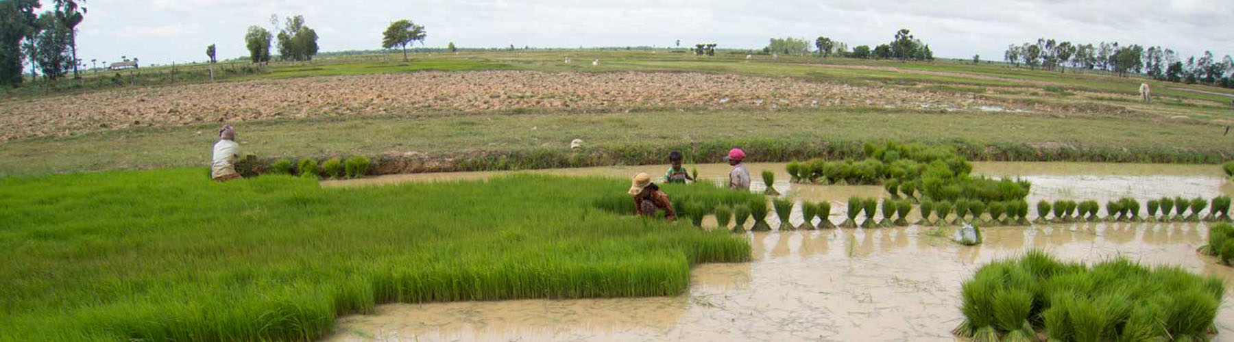 Financing Agricultural Sector of Zimbabwe